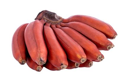 The Real Difference Between Red And Yellow Bananas Banana Image, Fruits Name In English, Red Banana, Tropical Greenhouses, Fruit Names, Banana Plants, Bread Baker, Breakfast Items, Food Facts