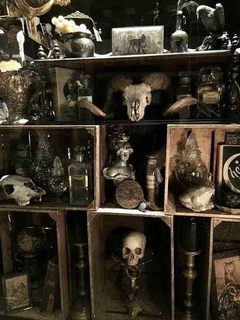 Oddities Aesthetic, Indrid Cold, Halloween Grunge, Goth Gifts, Occult Decor, How To Impress, Ram Skull, Vulture Culture, Goth Home