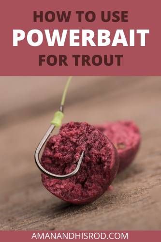 how to use powerbait for trout How To Catch Trout, Fishing Tips And Tricks, Trout Fishing Gear, Fish Types, Trout Fishing Lures, Fishing Hacks, Fishing Trout, Homemade Fishing Lures, Rainbow Trout Fishing