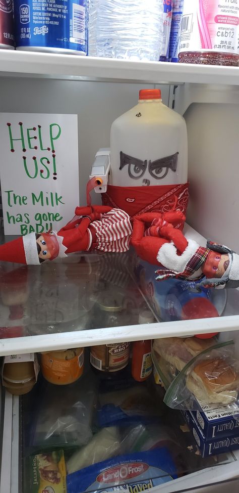 Help The Milk Went Bad Elf, Elf The Milk Has Gone Bad, The Milk Has Gone Bad Elf On The Shelf, Elf Milk Bad, Elf On The Shelf Ideas Milk Gone Bad, Milk Gone Bad Elf, Elf On The Shelf Milk Gone Bad, Elf 2023, Elf 2024