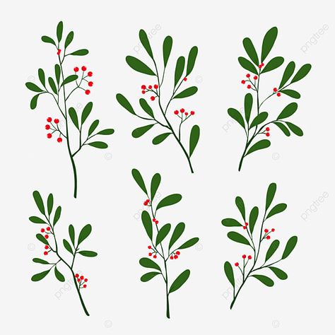 Christmas Plants Drawing, Mistletoe Plant, Draw Christmas, Plant Clipart, Christmas Plant, Plant Doodle, Leaves Wreath, Christmas Plants, Drawing Vector