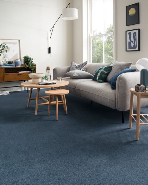 Living Room With Blue Carpet Ideas, Blue Living Room Carpet, Living Room With Blue Carpet, Blue Floor Living Room, Dark Blue Carpet Bedroom, Living Room Blue Carpet, Navy Carpet Bedroom, Blue Carpet Room, Blue Carpet Living Room Ideas