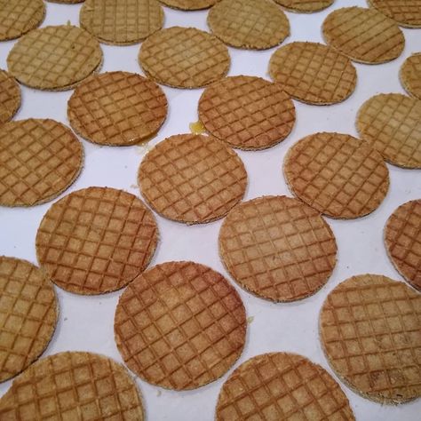 Mrs. Korver’s Famous Dutch Stroopwafel Recipe | Faithward.org Stroopwaffles Recipe, Stroopwafels Recipe, Dutch Stroopwafel Recipe, How To Make Stroopwafel, Diy Stroopwafel, Mini Stroopwafel, Stroopwafel Recipe, Pizzelle Maker, Waffle Cone Maker