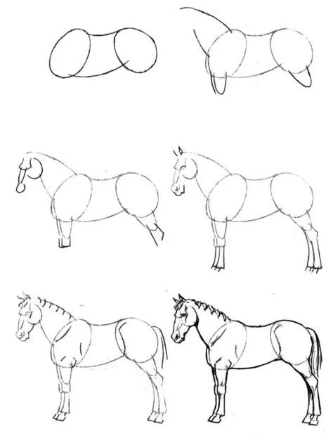 Horse Drawing Tutorial, Horse Art Drawing, Horse Sketch, Concept Art Tutorial, Canvas Art Projects, Cool Pencil Drawings, Portraiture Drawing, Horse Drawing, Horse Drawings