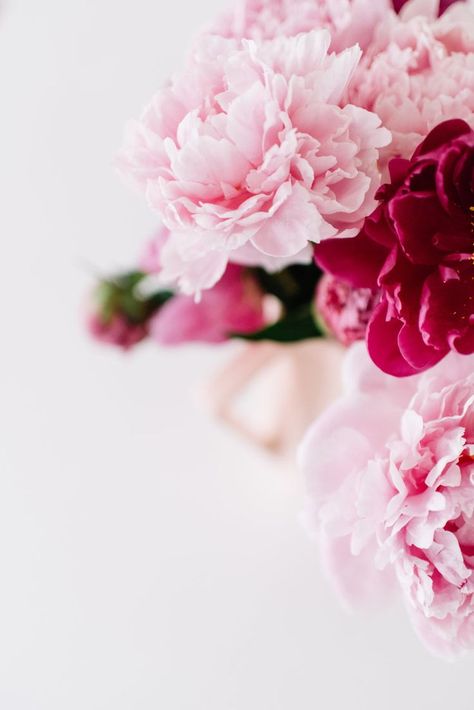 pink peonies Pink Peony Centerpiece, Pink Peonies Background, Pink Peonies Wallpaper, Peonies Background, Pink Peonies Wedding, Pink Peonies Bouquet, Peonies Centerpiece, Peony Wallpaper, Flower Iphone Wallpaper