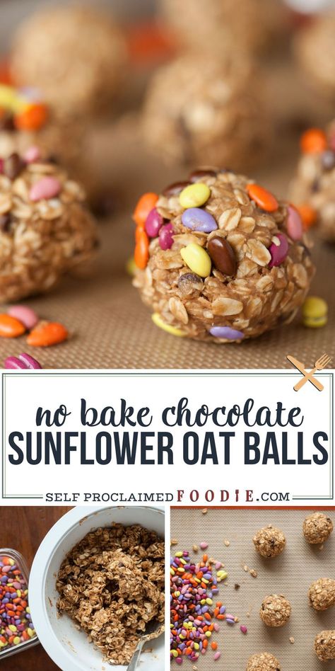 Nut Free Kids Snacks, Protein Snacks For Kids, Chocolate Sunflower, Oat Balls, Nut Free Snacks, High Fiber Snacks, Fiber Snacks, Nut Free Recipes, Healthy Nuts