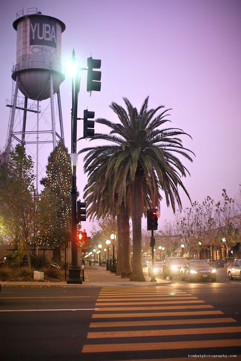 Hey look it's the only attractive part of my town! Yuba City California, California Cities, Sweet California, Cali Trip, Gold Miners, Bank Building, Water Towers, Banks Building, California City