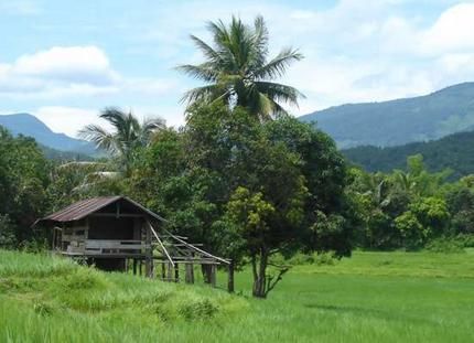 Images of the Philippino Countryside | Introduction to Laos Rural Philippines, Rural Houses, Rural House, Countryside House, Music Man, Country Side, Rural Area, Slice Of Life, Travel Bucket