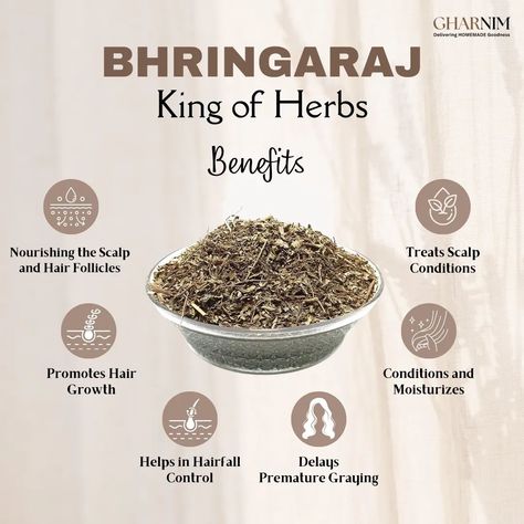 Bhringraj (Eclipta alba), often referred to as the "King of Herbs" for hair care, is highly valued in Ayurveda for its numerous benefits for hair health. ✨️ Benefits of Bhringraj for Hair ✨️ 🌿 Promotes Hair Growth: Bhringraj is renowned for its ability to stimulate hair growth. It increases blood circulation to the scalp, which helps in nourishing the hair follicles and promoting new hair growth. 🌿 Prevents Hair Loss: Regular use of Bhringraj can help reduce hair fall. Its nourishing pro... Bhringraj Benefits, Herbs Magic, Ayurveda Hair Care, Ayurveda Hair, Herbs For Hair, Herb Containers, Prevent Hair Fall, Hair Care Recipes, Plant Medicine