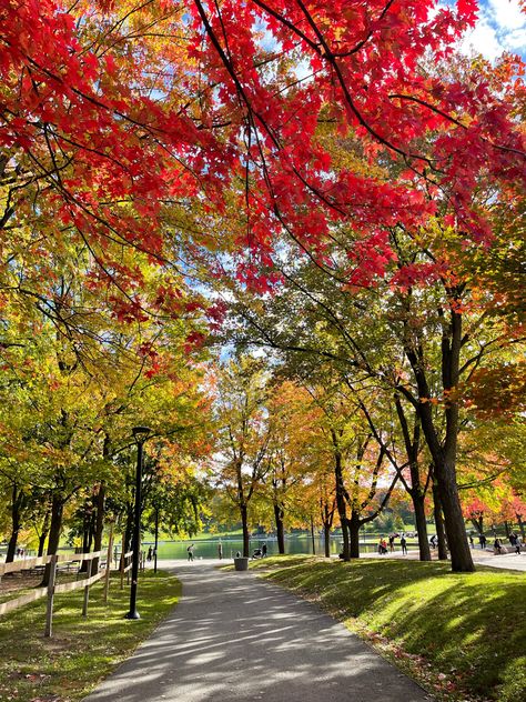 Mont-Royal Parc in Montreal #canada #montreal #autumn #fall #colorful #parc Canada Autumn Aesthetic, Montreal Canada Aesthetic, Montreal Aesthetic, Canada Autumn, Puzzle Ideas, Canadian Forest, Fall Aesthetics, Canada Montreal, Forest Falls