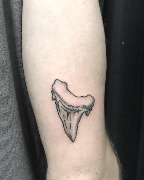 Shark Aesthetic Tattoo, Shark Tooth Tattoo Design, Tiger Shark Tooth Tattoo, Great White Shark Tooth Tattoo, Shark Jaw Tattoo Elbow, Dog Tooth Tattoo, Sharks Tooth Tattoo, Shark Leg Tattoo, Bull Shark Tattoo