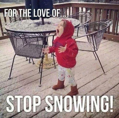 No more snow please Snow Meme, Winter Humor, Snow Humor, Meanwhile In Canada, Weather Memes, Hate Winter, Winter Quotes, Bones Funny, I Laughed