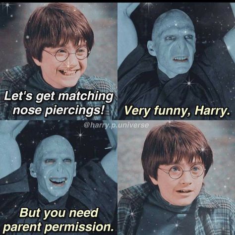 Harry Potter Funny Pictures, The Golden Snitch, Citate Harry Potter, Glume Harry Potter, Funny Harry Potter Jokes, Harry Potter Memes Hilarious, Harry Potter Feels, Harry Potter Puns, Harry Potter Pin