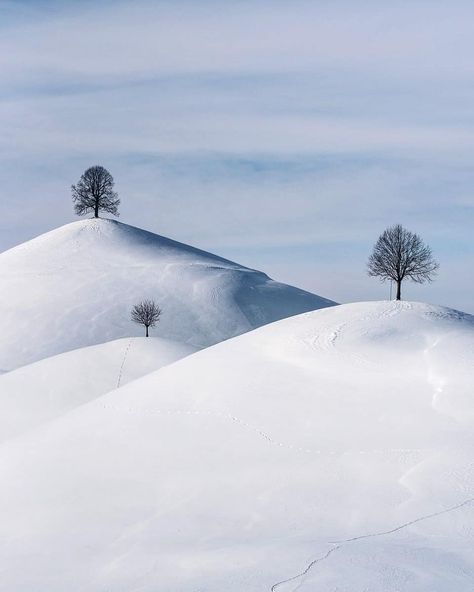 Iceland | Beyond The Lands® on Instagram: “"Shapes" Photo by: @helenapichler | 🔥🔥📷🔥🔥 . For more check out her collection! ______________ #beyondthelands_ | #switzerland Selected by:…” Snowy Hills, Snow Hill, Single Tree, Minimalist Photography, Thanks For Sharing, Many Thanks, Beautiful Tree, Featured Artist, Natural World