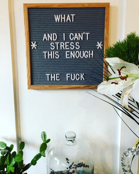 House Letter Board Quotes, Toy Story Letter Board, Witty Letter Board Quotes, Wall Letter Board Quotes, Funny Letter Boards For Home, Letterboard Quotes Funny Short, Funny Quotes To Put On Letter Board, Letter Board Signs Ideas, Country Letter Board Quotes