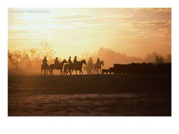 Gonna stay on a Outback cattle station (: Cattle Station, Australia Outback, Australian Sheep, Australian Country, Photo Graphy, Work In Australia, Real Cowboys, Fruit Picking, Australian Outback