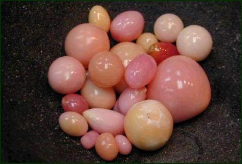 Conch Pearl: The Only Natural Pink Pearl Conch Pearls, Conch Pearl, Pearls Jewelry, She Sells Seashells, Jewelry Diamonds, Pretty Rocks, Minerals And Gemstones, Rocks And Gems, Gems And Minerals