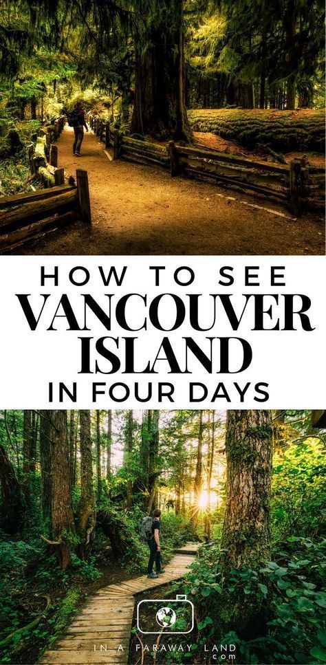 This mini Road Trip guide to Vancouver Island will take you through some of the best spots on the islands including Tofino, Cedar Tree Forest Walk and Pacific Rim National Park Reserve. #Vancouver #Island #Canada #Roadtrip Travel Vancouver Island, Camping Quebec, Pacific Rim National Park, Canadian Road Trip, Vancouver Travel, Canadian Travel, West Coast Road Trip, Canada Road Trip, Us Road Trip