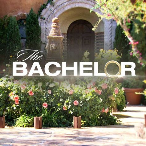 Your Ultimate 'The Bachelor' Dictionary, Because This Show Has Its Own Amazing Language The Bachelor Tv Show, Top Tv Shows, Fantasy League, Bachelor Nation, Top Tv, The Bachelor, Contemporary Romances, Best Tv Shows, Best Shows Ever