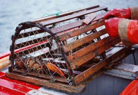 Crab Trap, Lobster Trap, Crab Fishing, Crab Shack, Clam Bake, Maine Lobster, Ocean Fishing, Porch Swing, Crab