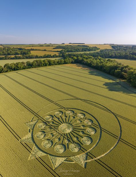 Crop Circle at Allan King Way, Nr Owslebury, Hampshire. Reported 26th June 2023 Crop Circles Sacred Geometry, Afrika Burn, Crop Circle, Alien Abduction, Crop Circles, Ancient Mysteries, Stonehenge, Spiritual Art, Sacred Geometry