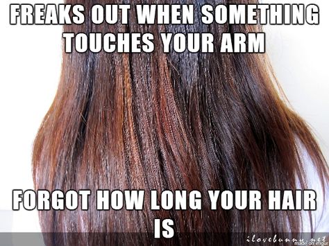 Long Hair Problems.     Usually freak out thinking its a spider  or a web but it's only a few hairs  Yep. Long Hair Quotes Funny, Thick Hair Problems Funny, Thick Hair Problems, Long Hair Problems, Wig Memes Hilarious, Girl Problems Memes, Long Hair Memes Hilarious, Curly Hair Problems, Hair Problems