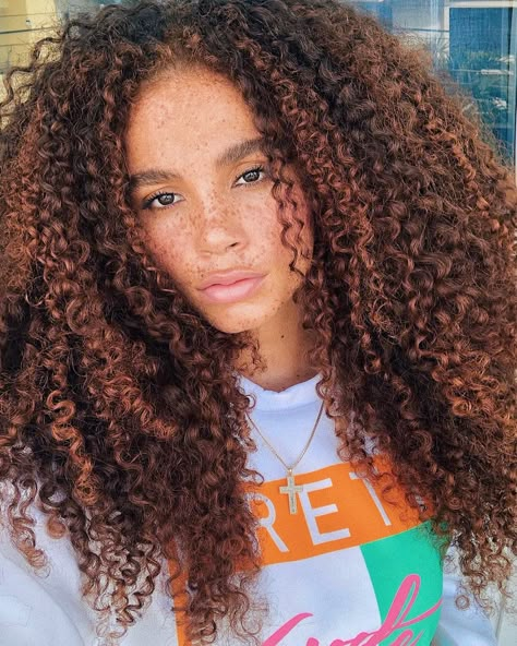 From subtle blonde highlights to rich shades of copper, there's something for everyone. Natural Hair Highlights, 3c Curly Hair, Subtle Blonde Highlights, Dyed Curly Hair, Highlights Curly Hair, Dirty Blonde Hair, Beautiful Natural Hair, Pelo Afro, Natural Hair Community