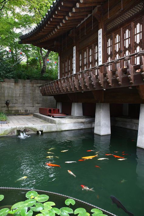 Kolam Koi, Asian Architecture, Carpe Koi, Chinese Garden, Korea Travel, Chinese Architecture, Japanese Architecture, Fish Pond, Korean Traditional