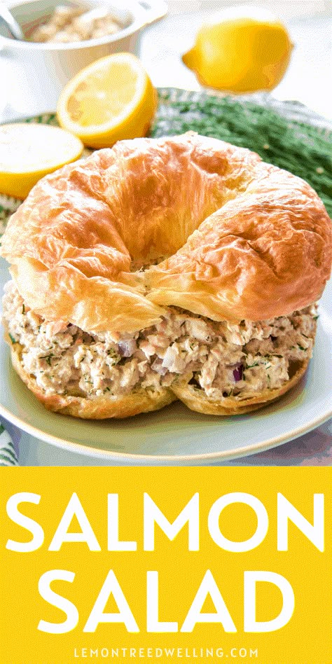 Salmon Sandwich Recipes, Salmon Salad Sandwich, Canned Salmon Recipes, Salmon Salad Recipes, Salmon Sandwich, Canned Salmon, Diet Smoothie Recipes, Sandwich Fillings, Lost 100 Pounds