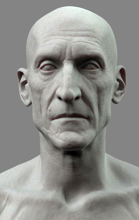 Charles Dance, Make An Outfit, Old Man, The Head, Zbrush, Wrinkles