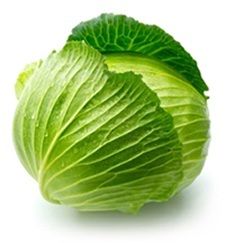 Freezing Cabbage, Cabbage Health Benefits, Growing Cabbage, Cabbage Benefits, Cabbage Vegetable, Freezing Food, Cabbage Salad Recipes, Braised Cabbage, Thai Salads