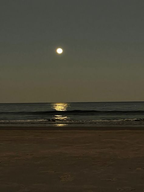 Secluded Beach Aesthetic, Beach Evening, Beach At Dusk, Moody Beach Aesthetic, Moody Beach, Beach Wallpaper Iphone, Dark Beach, East Coast Beaches, Beach Night