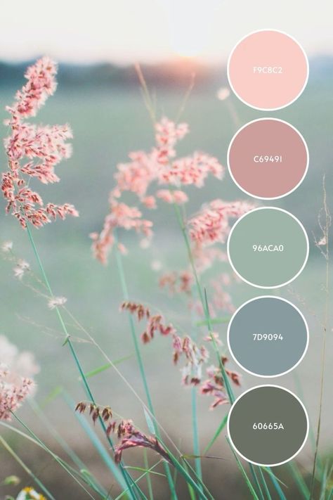 Green Pink Grey White Color Palette, Color Pallets For Bedroom, Brand Colors Inspiration Pink, Cute Colour Pallete, Pink And Sage Color Palette, Green And Pink Colour Scheme, Color Palette Light Green, Pink Green Cream Color Palette, Dorm Room Color Schemes Colour Palettes