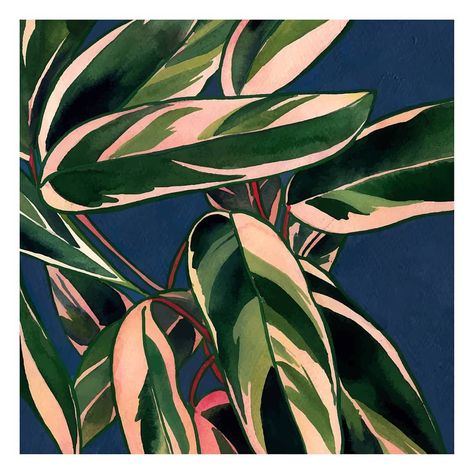 @gushartstudio posted on their Instagram profile: “Hello, hello! I painted this one a year or more ago and something was just missing on it. I would…” Sennelier Watercolor, Calathea Plant, Plant Art Print, Plant Painting, Hello Hello, Arte Inspo, Tropical Art, Plant Illustration, Plant Art