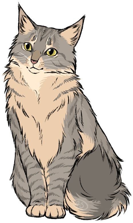 Warrior Name, Tumblr Sketches, Cat Drawing Tutorial, Cats Art Drawing, Warrior Cat Drawings, Animal Illustration Art, Cat Art Illustration, Cat Sketch, One Last Time