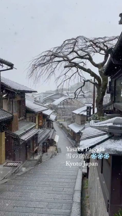 japanoninsta on Instagram: A snowy day in Kyoto ❄️⁣ ⁣ 📸 @lotus.m.lotus⁣ ⁣ #japan #kyoto #kyotojapan #winter #travelling #japanese #japon #traveltheworld #snow… Kyoto Japan Winter, Japanese Hotels, Snowy Japan, Japan Winter Travel, Kyoto Japan Aesthetic, Japan In December, Japon Aesthetic, Kyoto Winter, Snow In Japan