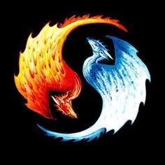 Fire Drangon, Tattoo Ideas, Ice Art, Fire And Ice Dragon, Fireic Dragon, Ice Yin, Ying Yang, Dragon Yin, Yin Yang Ice Tattoo, Fire And Ice Dragons, Dna Artwork, Ying Yang Tattoo, Phoenix Dragon, Yin Yang Art, Yin Yang Tattoos, Ice Dragon, Cool Dragons