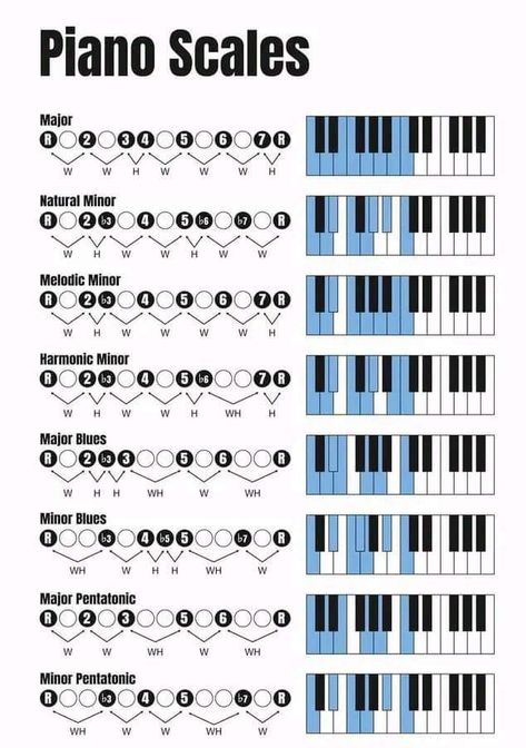 Scales Piano, Learn To Read Music, Music Scales, Music Basics, Piano Songs Sheet Music, Music Theory Piano, Piano For Beginners, Beginner Piano Music, Piano Scales