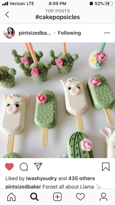 Popsicles Cake, Cake Popsicles, Cake Pop Designs, Cake Pop Decorating, Chocolate Covered Treats, Baking Business, Covered Strawberries, Chocolate Treats, Cute Desserts