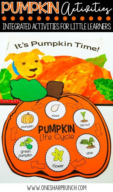 FREE life cycle of a pumpkin activities, including pocket chart sentences and sequencing printable.  Perfect for your pumpkin investigations!  Plus, we love the adorable pumpkin crafts! Kindergarten Pumpkin, Science Halloween, Life Cycle Of A Pumpkin, Pumpkin Investigation, Life Cycle Activities, Pumpkin Lessons, Pumpkins Preschool, Pumpkins Kindergarten, Pumpkin Unit