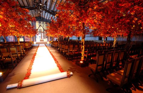 FROST DC Wedding Aisles, Fall Wedding Ceremony, Wedding Aisle Decorations, Fall Wedding Ideas, Fall Wedding Decorations, Wedding Ceremony Ideas, Aisle Runner, Aisle Decor, Fall Weddings