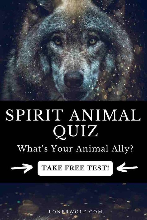 Spirit Animal Quiz: What’s Your Animal Ally? What Is My Spirit Animal, Spirit Animal Test, What's My Spirit Animal, Find My Spirit Animal, Spirit Animal Quiz, Whats Your Spirit Animal, Find Your Spirit Animal, Spirit Animal Meaning, Animal Meanings