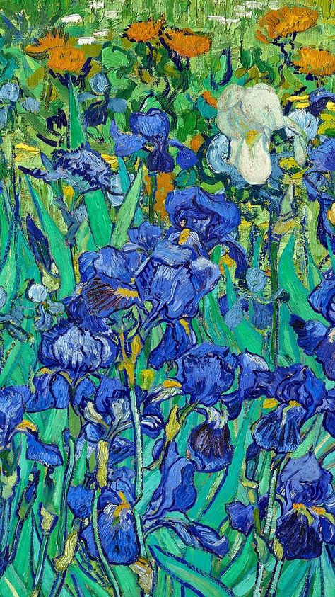 Van Gogh Field, Van Gogh Green, Van Gogh Iris, Van Gogh Irises, Gcse Art Sketchbook, Van Gogh Paintings, Gcse Art, Green Flower, Irises