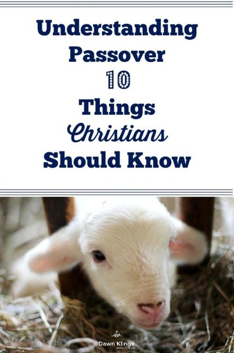 Undrstanding Passover. Why does Passover matter to Christians? The Passover story is about redemption and freedom, themes that are echoed throughout the Gospel message. It’s a foreshadowing of the hope that Christians find in Jesus and it points to the continued hope that we look forward to upon His return. | Above the Waves | #passover #passovermeaning #seder When Is Passover 2024, Passover Christian, Messianic Passover, Seder Meal, Passover Ideas, Passover Meal, Jewish Feasts, Biblical Feasts, Feasts Of The Lord