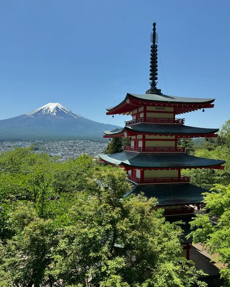 Mt.Fuji - Japan 🇯🇵 Japan In Summer, Mt Komorebi, Japan Mount Fuji, Mt Fuji Japan, Summer In Japan, Gap Year Travel, Japanese Summer, Fuji Japan, Reference Board