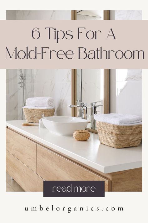 clean bathroom Mold Free Shower Design, Prevent Mold In Bathroom, Mold Proof Bathroom, How To Prevent Mold In Bathroom, Mold Free Bathroom Design, Molding In Bathroom, Small Green Bathroom Ideas, Windowless Bathroom Ideas, Bathroom Maintenance