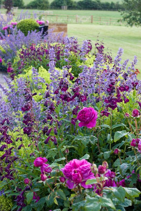 Shed Inspiration, Colorful Farmhouse, Rose Garden Design, Gorgeous Farmhouse, Exquisite Gardens, Cottage Garden Design, Farmhouse Garden, Have Inspiration, Front Yard Garden