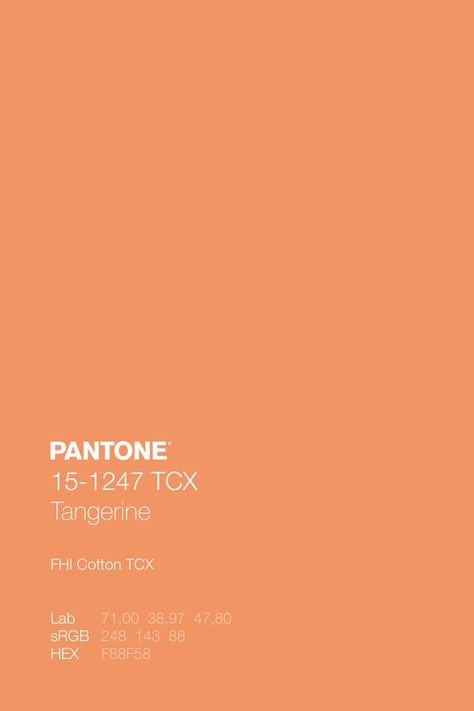 Tangerine Pantone, Mood Boards Color, Pantone Color Chart, Vintage Colour Palette, Pantone Palette, Pantone Colour Palettes, Orange Color Palettes, Pastel Wall Art, Tangerine Color