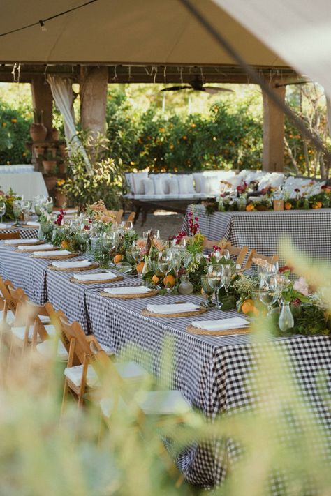 No Seated Dinner Wedding, Preppy Dinner Party, Picnic Wedding Aesthetic, Summer Picnic Wedding, Mismatched Tablecloths Wedding, Eclectic Wedding Table Decor, Gingham Wedding Table, Spring Table Scape, Gingham Tablecloth Wedding