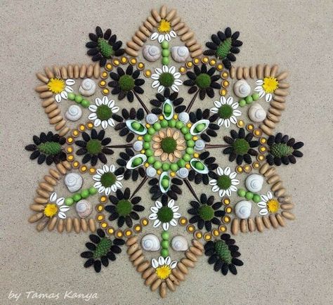 Land Art Mandala Compositions By Tamas Kanya Seed Mandala, Seed Mosaics, Seed Painting, Natural Mandala, Nature Mandalas, Mandala Nature, Nature Mandala, Grateful For Everything, Seed Art